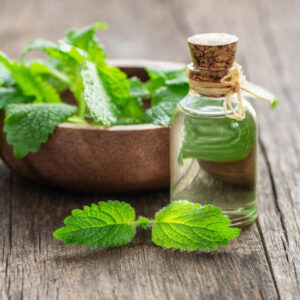Melissa Oil (lemon Balm)